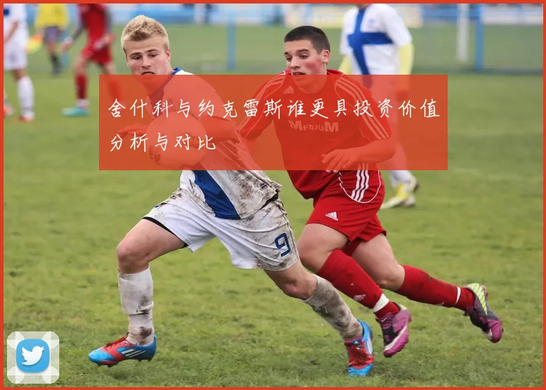 舍什科与约克雷斯谁更具投资价值分析与对比