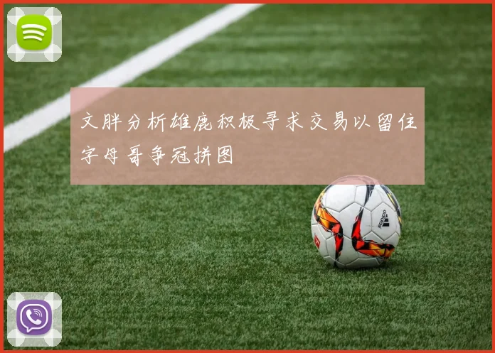 文胖分析雄鹿积极寻求交易以留住字母哥争冠拼图